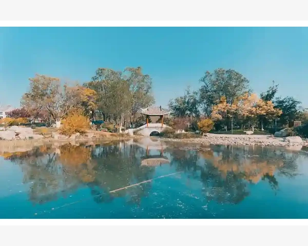 气郁体质调理方案：缓解压力，重获健康